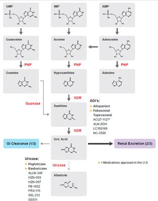 Review of Urate-Lowering Therapeutics: From the Past to the Future